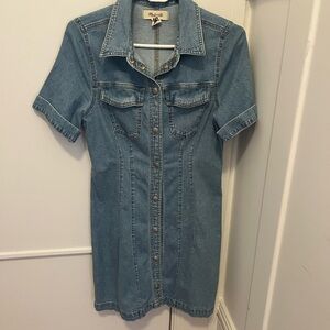 Denim Madewell dress